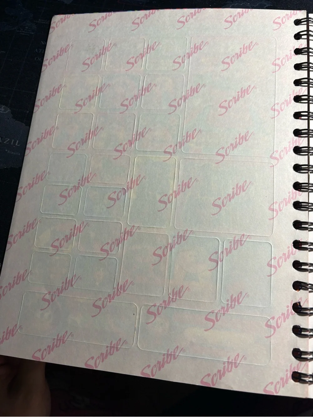 Scribe Notebook San Juditas